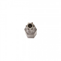 Бита WITTE INDUSTRIE TORX TR с отверстием