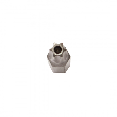 Бита WITTE INDUSTRIE TORX TR с отверстием
